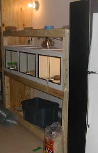 Herp Condo
