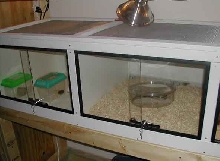 Herp Condo