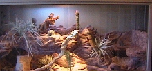 Red Rock Cage