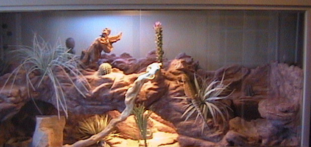 Red Rock Cage