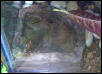 Trinity sleeping underwater