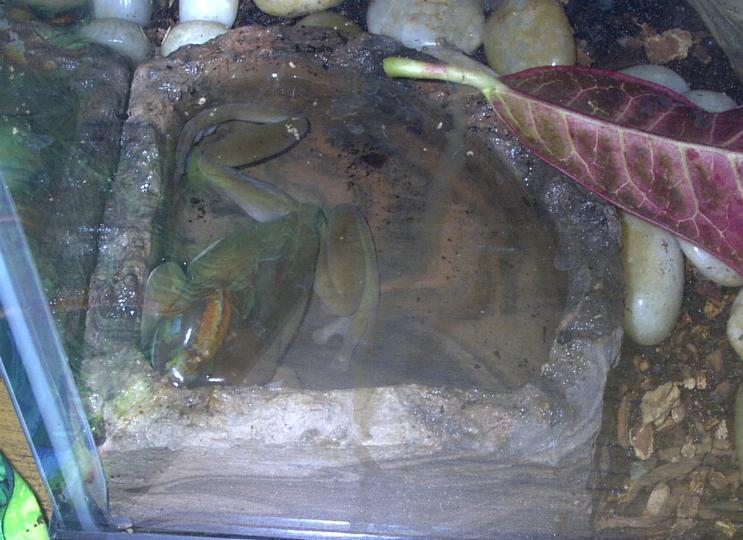 Trinity sleeping underwater