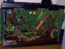 Trinty's House