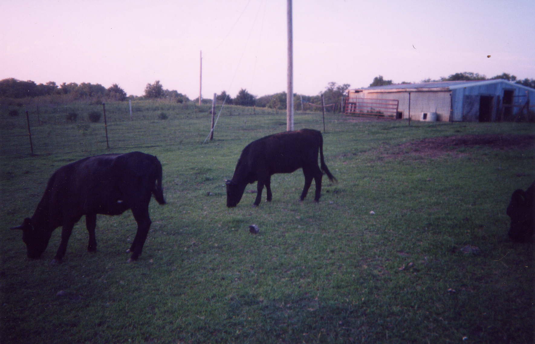 Kenosha and Bailey
