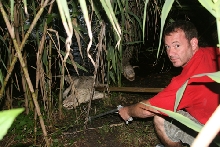 Holing back the female who is guarding her nest...