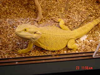 sunnie2