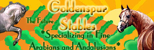 Goldenspur Siggy