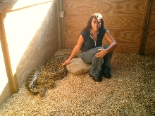 This is my 16 foot Burmese