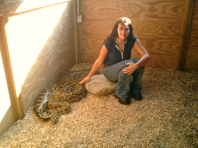 This is my 16 foot Burmese