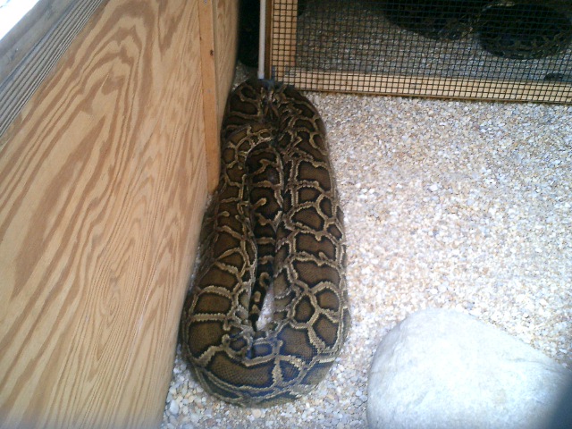 18 footer and 200  lbs.