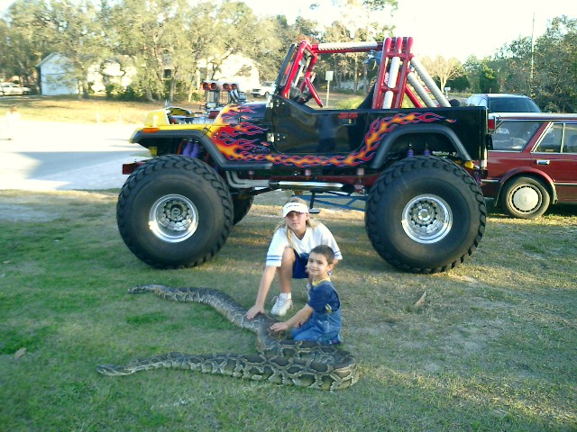 18 foot  Burmese