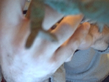 missin claws