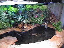 Cloes new Condo