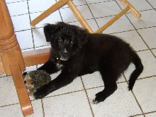 Jackson