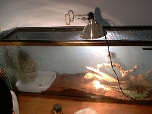 CWD Cage