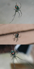 What is this?