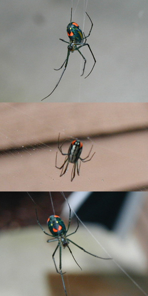 What is this?