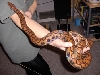 Big Girl