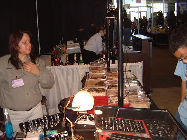 Display at Tinley Park 2004
