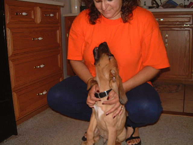 Blood hound