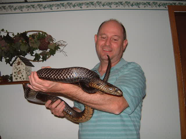 first time holding a snake