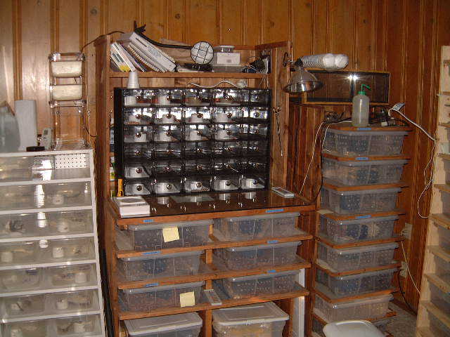 Ronne Rack system