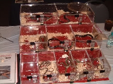 Display at Sewerfest