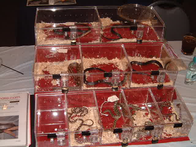 Display at Sewerfest
