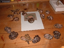 Spider Clutches 1 and 2 Smiley face