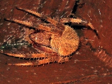 Unknown in Byron, GA