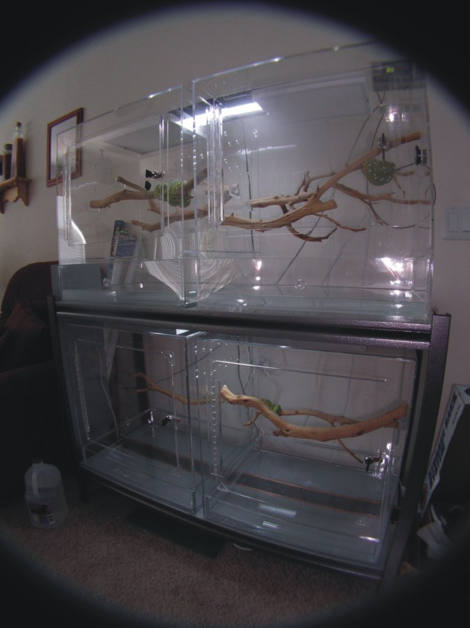 Acrylic Aboreal Cages
