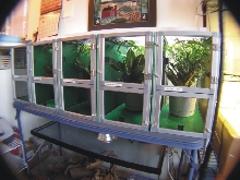Baby Panther Chameleon Cages