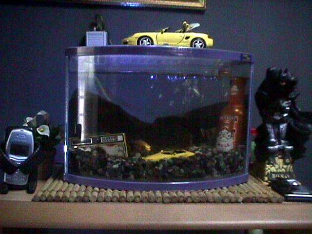 new setup of my junkquarium
