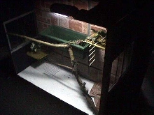 zoe's new terrarium angle shot
