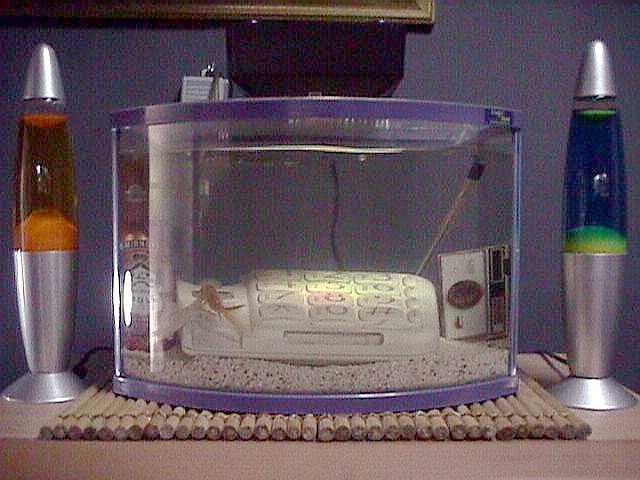junkquarium