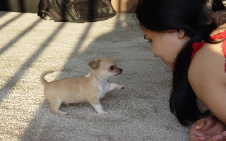 Sweetheart & Grace