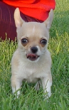 Sweetheart Was Tired Coz He Run To Much