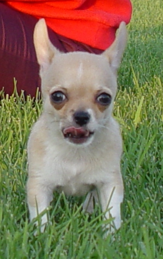 Sweetheart Was Tired Coz He Run To Much