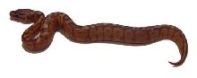 Banana Pastel 1