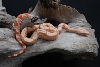 SGF1(2)