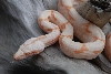 SGF2(2)