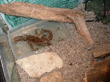 takin a bath