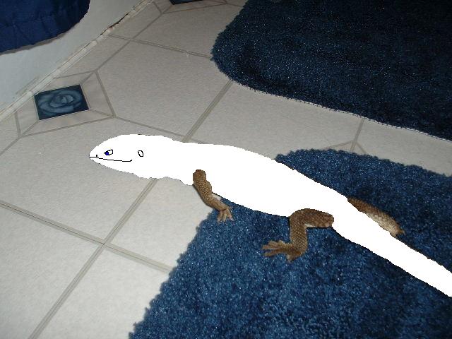new savanna morph