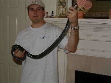 Black Racer