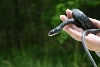 South Carolina Black Racer