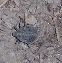 What is this?