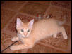 Gabby