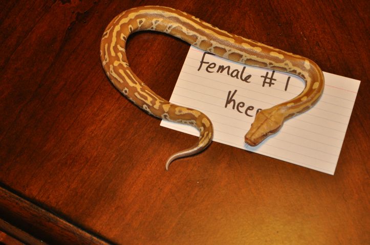 Female 1