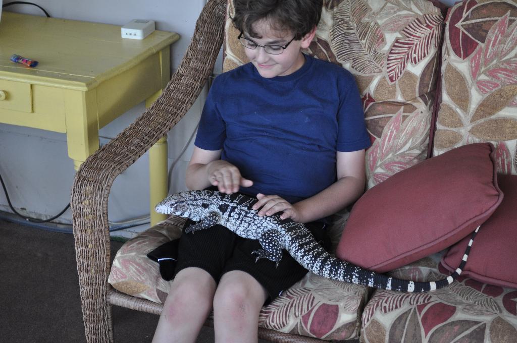 Tegu