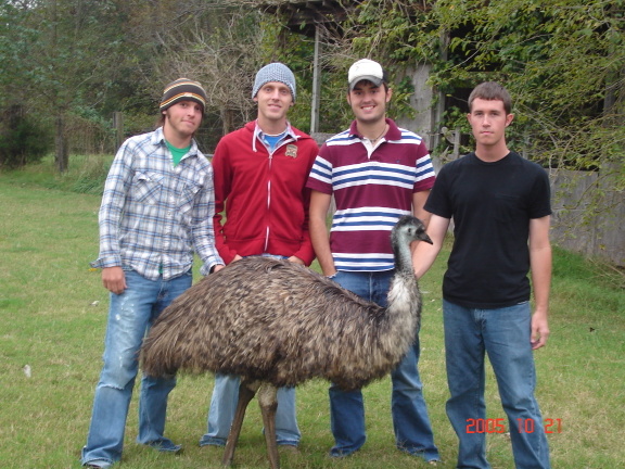 Group and Henry